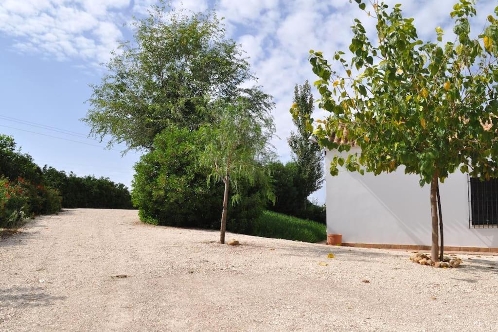 Casa Rural La Linana Cordoba Exterior photo